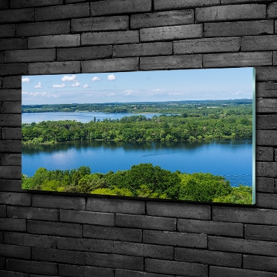 Cuadro de cristal templado moderno horizontal Bosque junto al lago