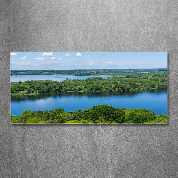 Cuadro de cristal templado moderno horizontal Bosque junto al lago