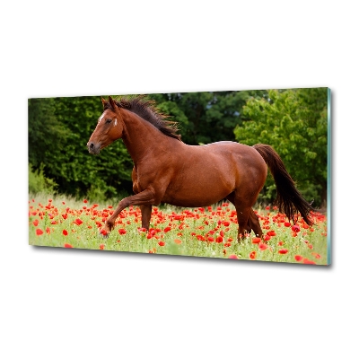 Cuadro decorativo de vidrio para salón horizontal Un caballo en un campo de amapolas.