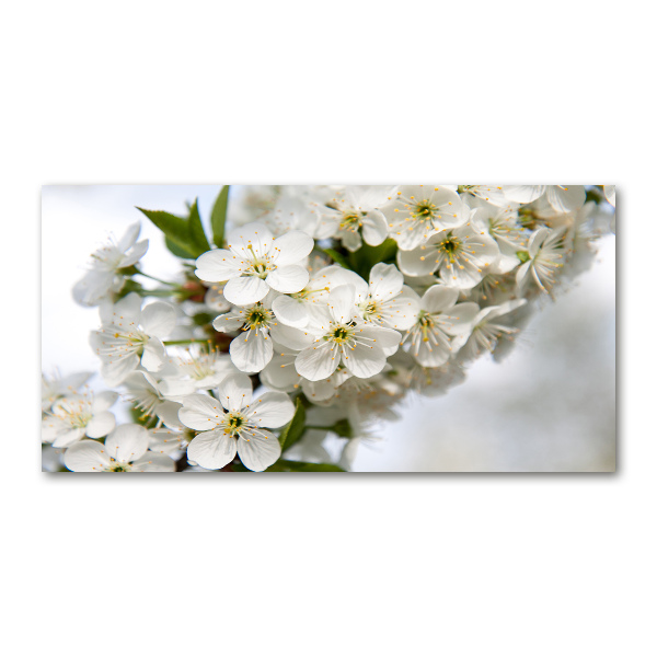 Impresión en cristal con acabado brillante horizontal flores de cerezo