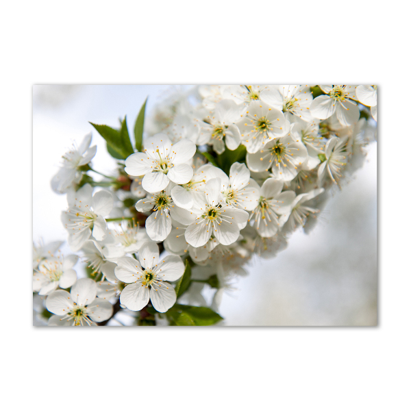 Impresión en cristal con acabado brillante horizontal flores de cerezo