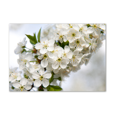 Impresión en cristal con acabado brillante horizontal flores de cerezo