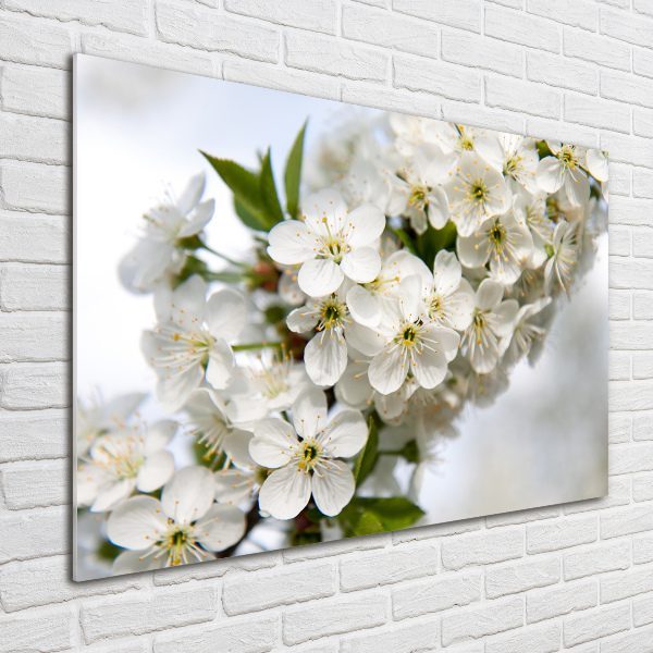 Impresión en cristal con acabado brillante horizontal flores de cerezo