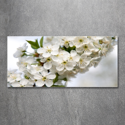 Impresión en cristal con acabado brillante horizontal flores de cerezo