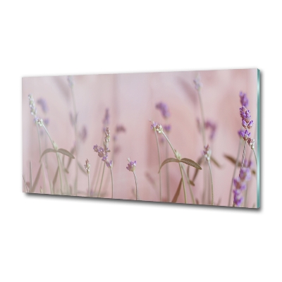 Cuadro de cristal templado moderno horizontal Lavanda