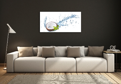 Cuadro de cristal templado moderno horizontal Coco y agua