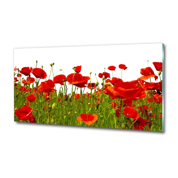 Impresión en cristal con acabado brillante horizontal Amapolas de campo