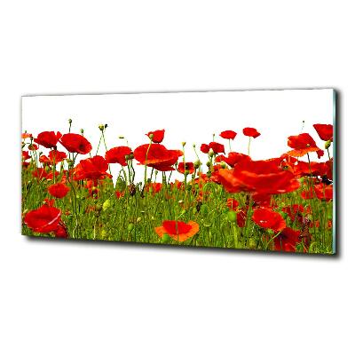 Impresión en cristal con acabado brillante horizontal Amapolas de campo