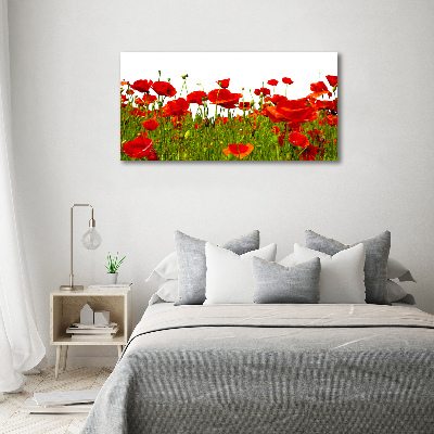 Impresión en cristal con acabado brillante horizontal Amapolas de campo