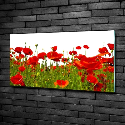 Impresión en cristal con acabado brillante horizontal Amapolas de campo