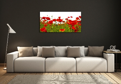 Impresión en cristal con acabado brillante horizontal Amapolas de campo