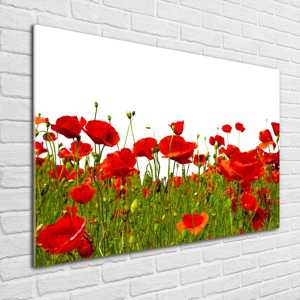 Impresión en cristal con acabado brillante horizontal Amapolas de campo