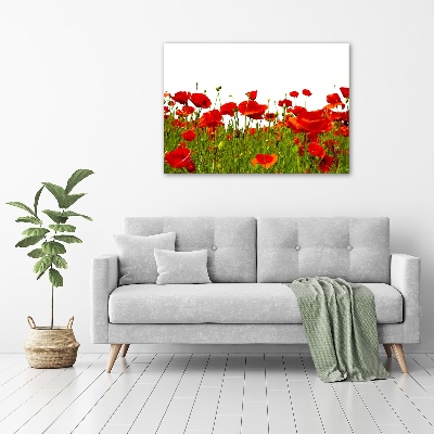 Impresión en cristal con acabado brillante horizontal Amapolas de campo