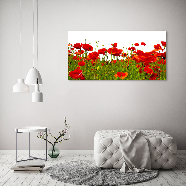Impresión en cristal con acabado brillante horizontal Amapolas de campo