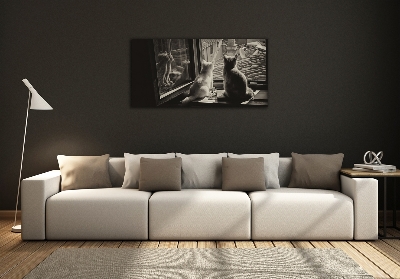 Foto en cristal de alta calidad con impresión uv horizontal Gatos en la ventana