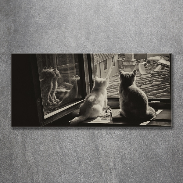 Foto en cristal de alta calidad con impresión uv horizontal Gatos en la ventana
