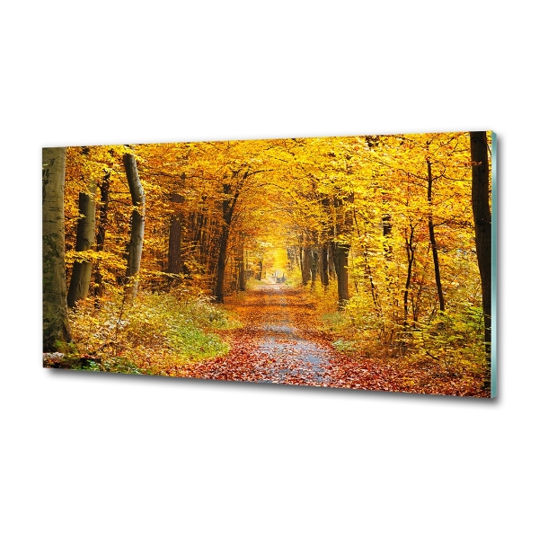 Cuadro decorativo de vidrio para salón horizontal Bosque en otoño