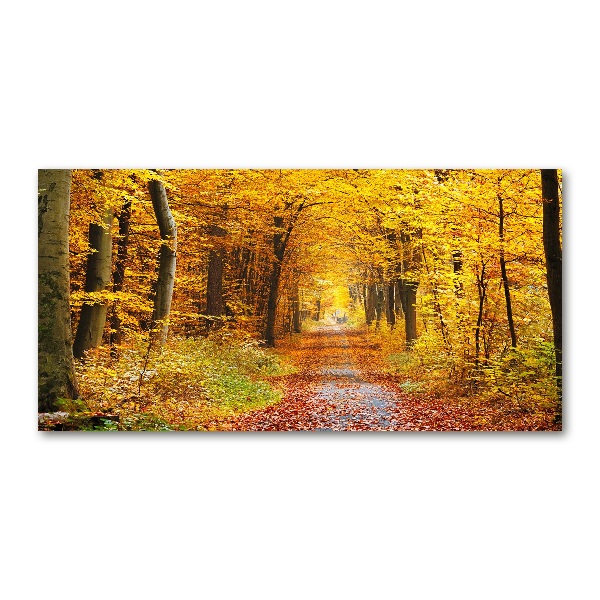 Cuadro decorativo de vidrio para salón horizontal Bosque en otoño