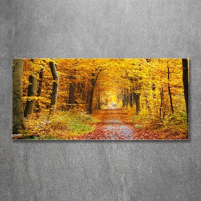 Cuadro decorativo de vidrio para salón horizontal Bosque en otoño