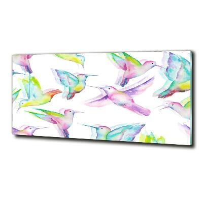 Cuadro decorativo de vidrio para salón horizontal Colibríes