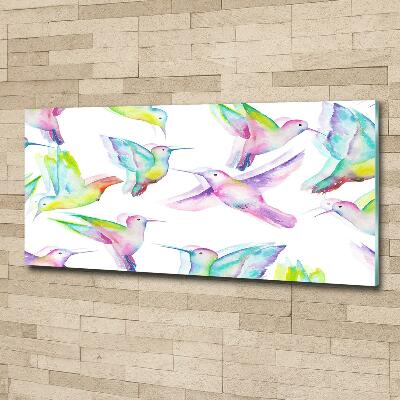 Cuadro decorativo de vidrio para salón horizontal Colibríes