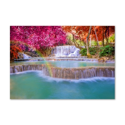 Cuadro de cristal templado moderno horizontal Cascada en el bosque