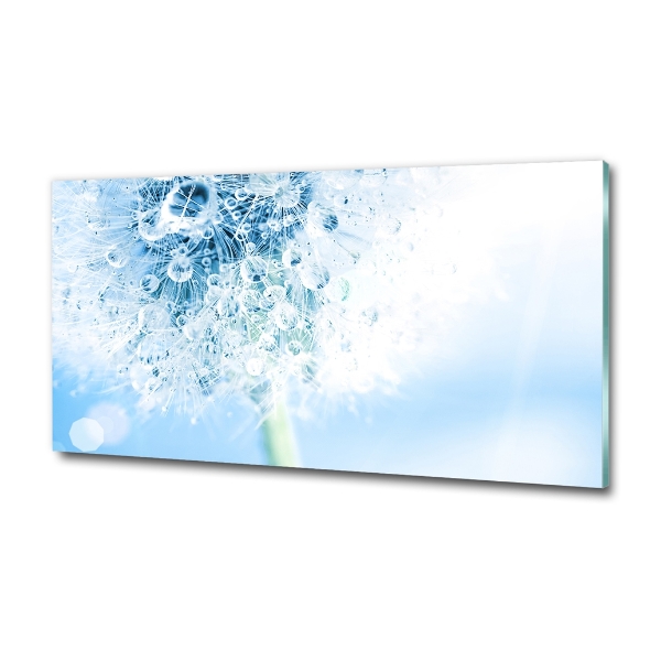 Foto en cristal de alta calidad con impresión uv horizontal Diente de león