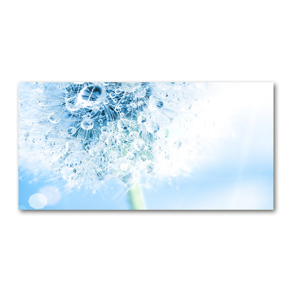 Foto en cristal de alta calidad con impresión uv horizontal Diente de león