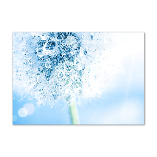 Foto en cristal de alta calidad con impresión uv horizontal Diente de león