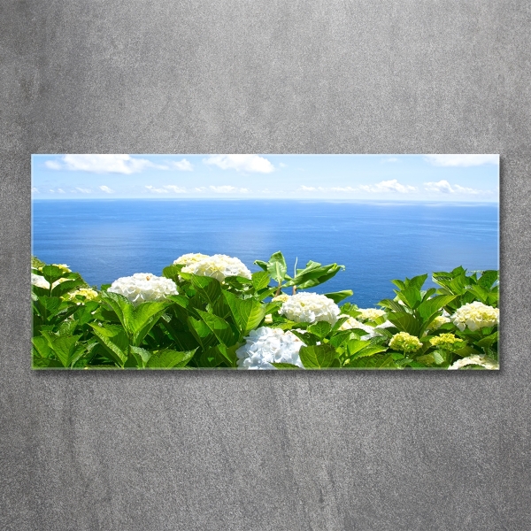 Cuadro decorativo de vidrio para salón horizontal Flores junto al mar