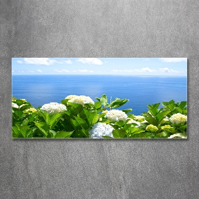 Cuadro decorativo de vidrio para salón horizontal Flores junto al mar