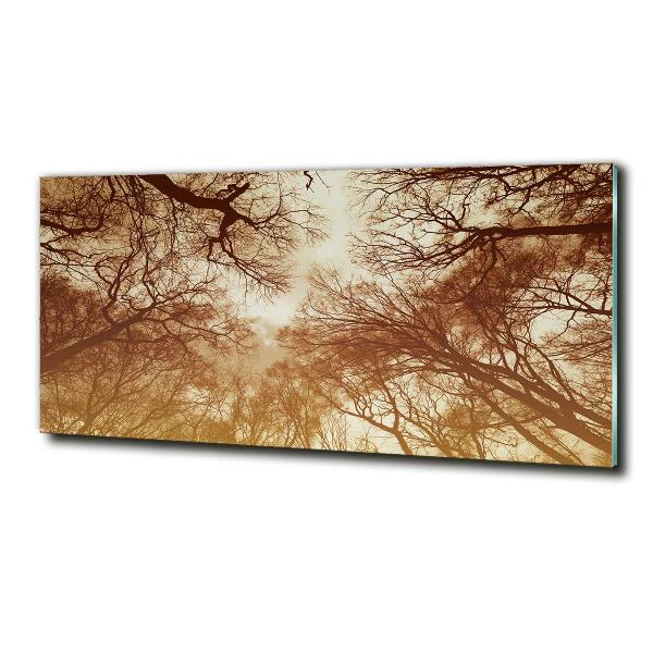 Foto en cristal de alta calidad con impresión uv horizontal Bosque