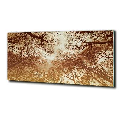 Foto obraz zdjęcie szkło hartowane Las