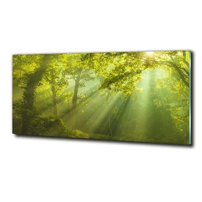 Cuadro decorativo de vidrio para salón horizontal Bosque al sol