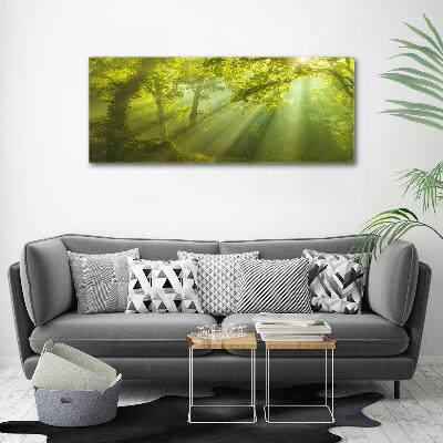 Cuadro decorativo de vidrio para salón horizontal Bosque al sol