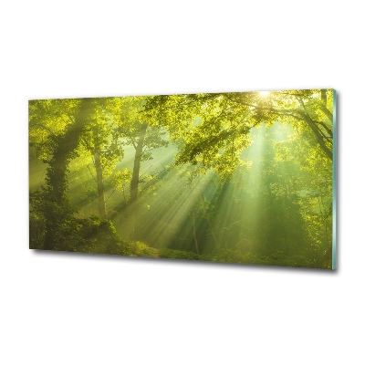 Cuadro decorativo de vidrio para salón horizontal Bosque al sol