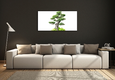 Foto en cristal de alta calidad con impresión uv horizontal Árbol bonsái