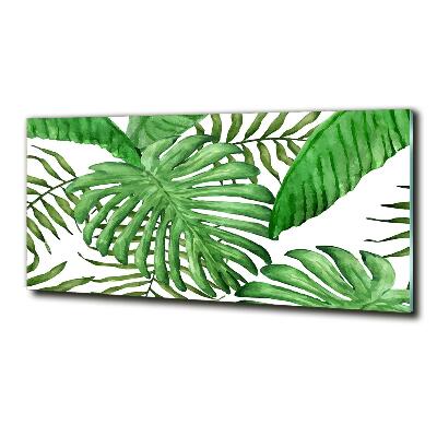 Foto obraz szklany Tropikalne liście