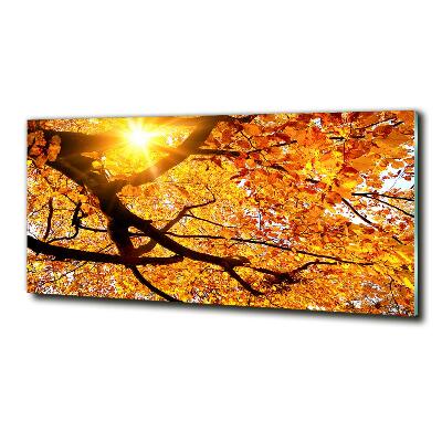 Cuadro de cristal templado moderno horizontal Copa del árbol de otoño
