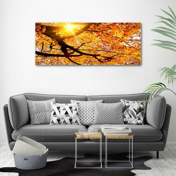 Cuadro de cristal templado moderno horizontal Copa del árbol de otoño