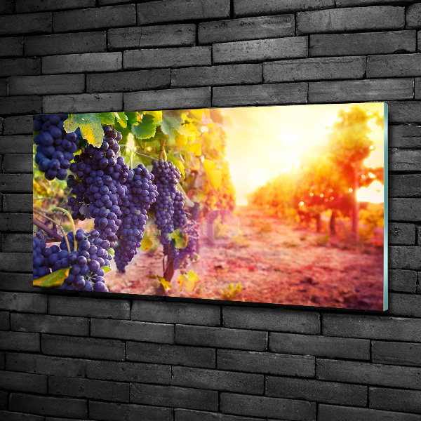 Cuadro de cristal templado moderno horizontal Vides