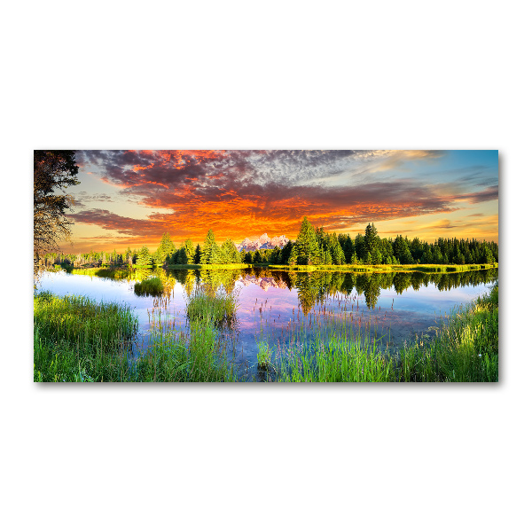 Foto en cristal de alta calidad con impresión uv horizontal Río en el bosque