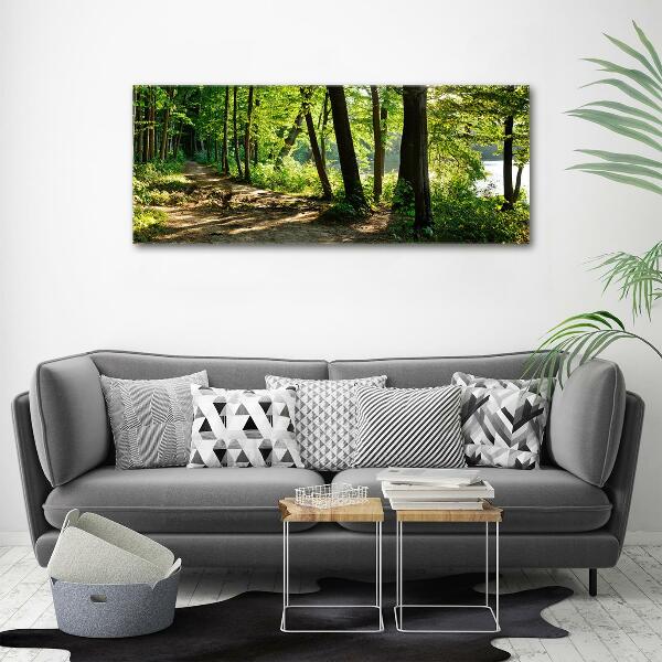 Cuadro de cristal templado moderno horizontal Camino en el prado