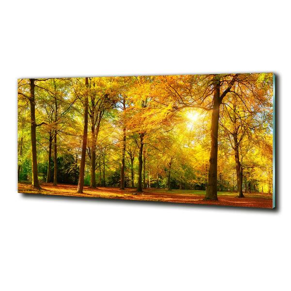 Cuadro decorativo de vidrio para salón horizontal Bosque en otoño