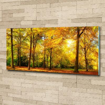 Cuadro decorativo de vidrio para salón horizontal Bosque en otoño