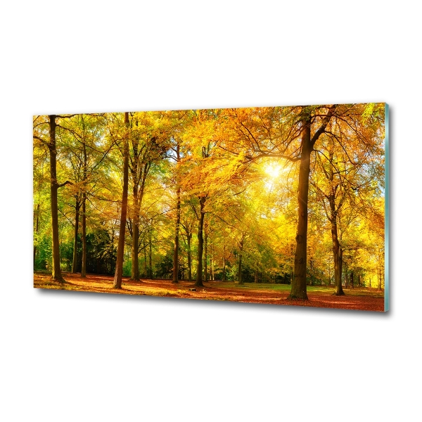 Cuadro decorativo de vidrio para salón horizontal Bosque en otoño