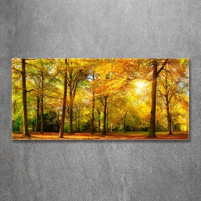 Cuadro decorativo de vidrio para salón horizontal Bosque en otoño