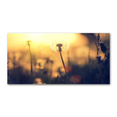 Foto en cristal de alta calidad con impresión uv horizontal Diente de león