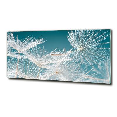 Foto en cristal de alta calidad con impresión uv horizontal semillas de diente de león