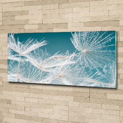 Foto en cristal de alta calidad con impresión uv horizontal semillas de diente de león